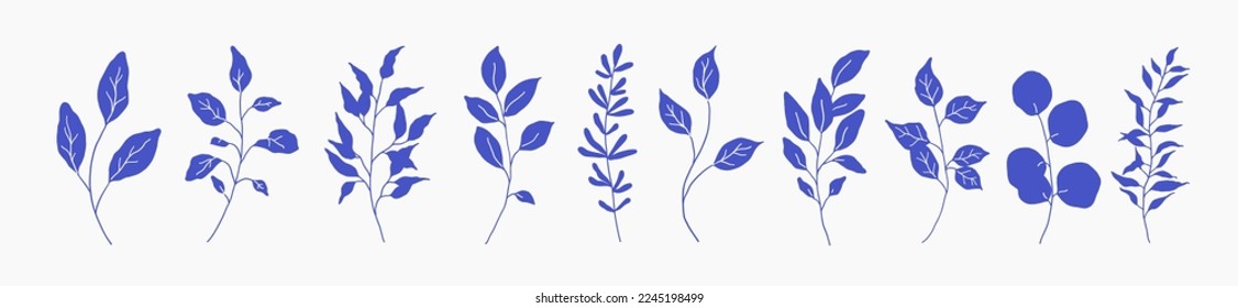 Conjunto de silueta verde ramificación floral, hoja, plantas. Hojas de follaje azules fraguadas delicadas. Ilustración vectorial dibujada por mano