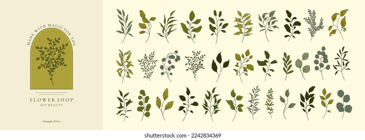 Set of greenery vintage floral branch, leaf, plants for logo template, invitation save the date card. Botanic twigs, leaves isolated on white. Hand drawn wedding branches trendy vector illustration