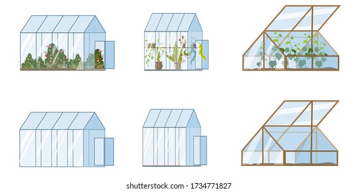 Set of greenhouse. Vector illustration. Plants growing inside glass greenhouse. Excellent for the design of postcards, posters, stickers. Vector empty greenhouse and with plants.