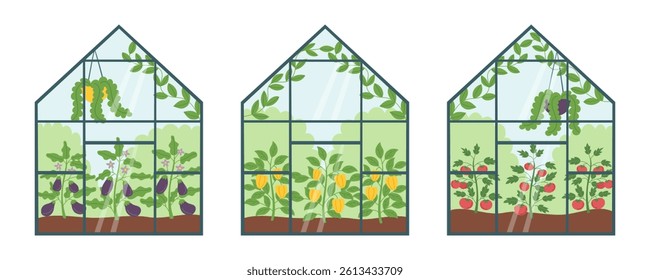 Set of greenhouses with vegetables isolated on white. Gardening and farming concept banner. Vector hand drawn illustration.