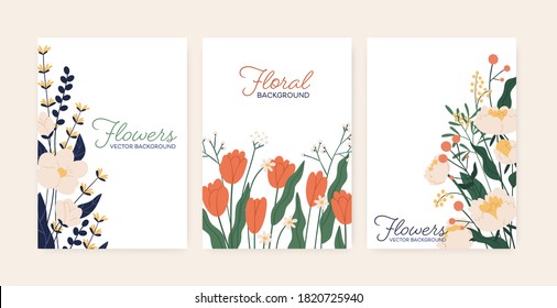 Set of greeting card with elegant flowers vector flat illustration. Collection of beautiful vertical postcard decorated with peony and tulips isolated. Festive blooming template with place for text