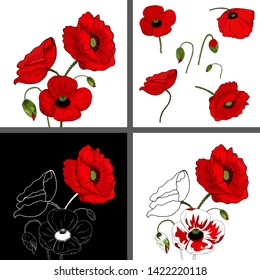 A set of greeting cards with growing red poppies. Silhouette of flowers. Realistic flowers. Pattern for fabric. Isolated flowers on white and black background.Set of floral elements.