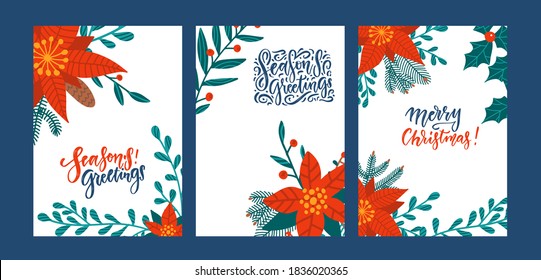 Set of greeting cards with poinsettia flowers. Red poinsettia Christmas greens leaves and holly berries a mix of seasonal plants. All elements are editable. Vector flat illustration.