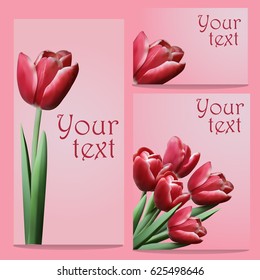 Set of greeting cards with realistic red tulips. Vector illustration, not trace