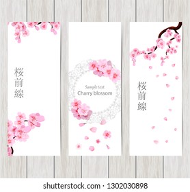 Set of greeting and invitation card with cherry blossom  Spring composition with sakura. Vector illustration