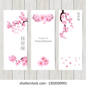 Set of greeting and invitation card with cherry blossom  Spring composition with sakura. Vector illustration