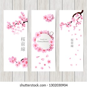 Set of greeting and invitation card with cherry blossom  Spring composition with sakura. Vector illustration