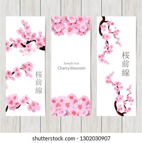 Set of greeting and invitation card with cherry blossom  Spring composition with sakura. Vector illustration