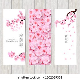 Set of greeting and invitation card with cherry blossom  Spring composition with sakura. Vector illustration