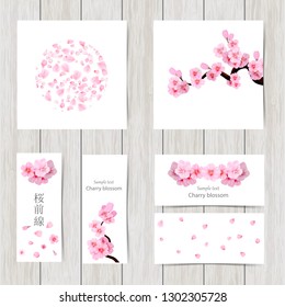 Set of greeting and invitation card with cherry blossom  Spring composition with sakura. Vector illustration