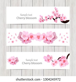 Set of greeting and invitation card with cherry blossom  Spring composition with sakura. Vector illustration