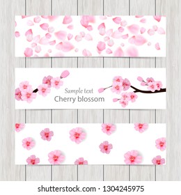 Set of greeting and invitation card with cherry blossom  Spring composition with sakura. Vector illustration
