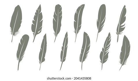 Set of Grey bird feather. Vector Illustration and outline Icons. Symbol of freedom.