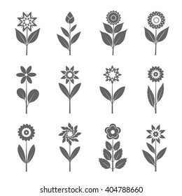 Set of Grey Flowers and Leafs. Vector Illustration.