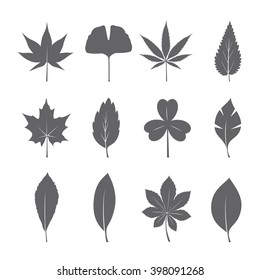 Set of Grey Leafs. Vector Illustration.