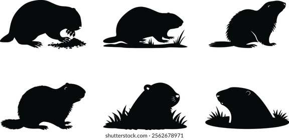 Set of Groundhog Silhouette. Groundhog Day