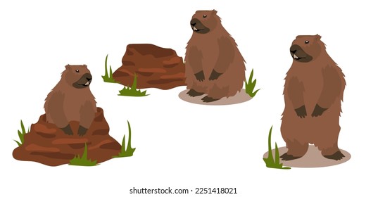 A set of groundhogs for groundhog Day with a mink from which he got out. a harbinger of spring. A festive set for postcards, banners and flyers. Vector illustration.