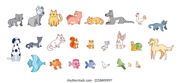 Set group animals line color vector illustration