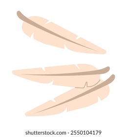 The set is a group with bird feathers. A flat illustration highlighted on a white background. Several feathers are isolated together on a white background. Delicate light fluffy feathers