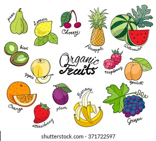 Set a group of color illustrations with captions fruits names on a white background.
