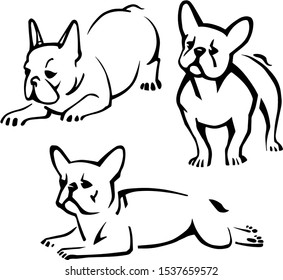 Set of group french bulldoges line pictures, isolated white background in different poses. Characters. Sketch. For illustrations, design works like flyer, poster, clothing prints, logo.