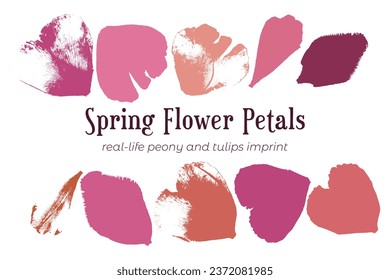 Está decorado con un conjunto de impresiones de flores en vivo coloridas en tonos rosa pastel. Pétalos de flores reales en vivo. Herbario de flores escaneado. Está decorado con impresiones texturadas y siluetas de peonía leñosa y pétalos tulipanos.