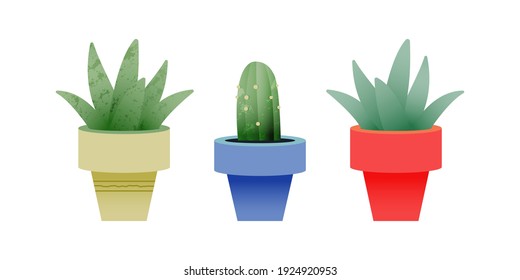 Set of Growing Plant in Pot. Modern Flat Vector Illustration. Gardening Concept. Social Media Template.