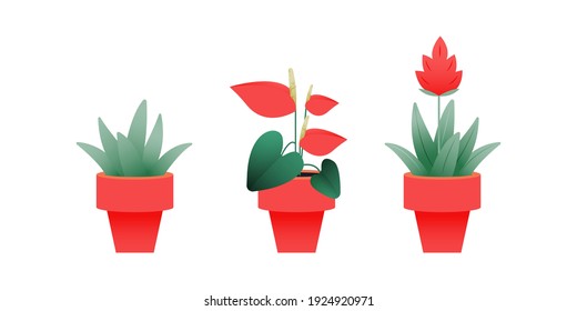 Set of Growing Plant in Pot. Modern Flat Vector Illustration. Gardening Concept. Social Media Template.