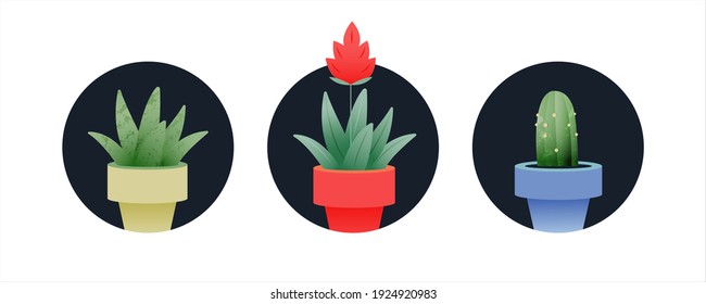 Set of Growing Plant in Pot. Modern Flat Vector Illustration. Gardening Badges. Social Media Template.