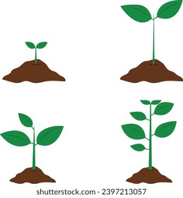 Set of growing plant stages illustration.