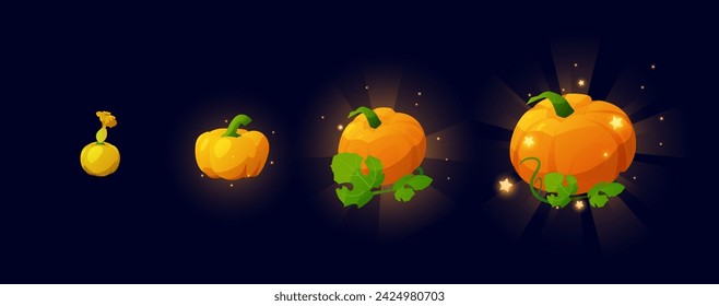 Conjunto de calabazas brillantes en crecimiento estilo plano, ilustración vectorial aislado sobre fondo azul. Colección de elementos de diseño decorativo para juego de granja, naturaleza, verduras de diferentes tamaños