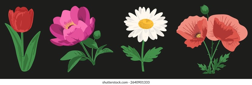 Set grunge Summer Flowers isolated black background. Realistic hand drawn Floral collection. Vector illustration for botany greeting card cover design. EPS 10