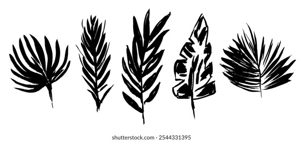 Set of grunge textured vector black ink hand dawning tropical leaves, fern, palm, banana leaf. Artistic paintbrush texture botanical elements for textile pattern design, greeting card, logo