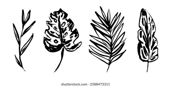 Set of grunge textured vector black ink hand dawning tropical leaves, fern, monstera leaf. Artistic paintbrush botanical elements for textile pattern design, greeting card, logo