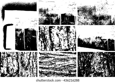 Set of grunge textures. Wood texture background.