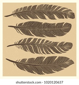 Set of grunge vintage bird feathers design isolated on background. Vector illustration