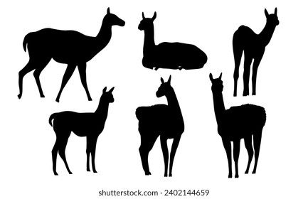 Set of guanaco silhouettes. Lama guanicoe. Wild animals of South America. Vector illustration