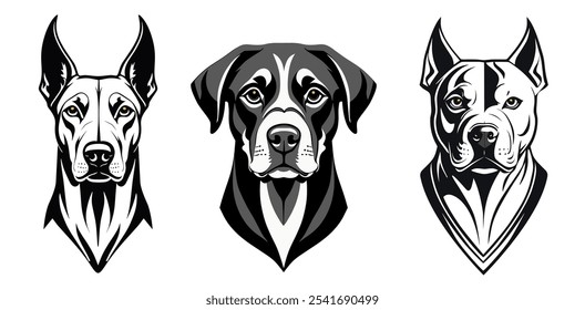 Conjunto de animais de guarda, preto e branco. Dobermann, rottweiler, pitbull