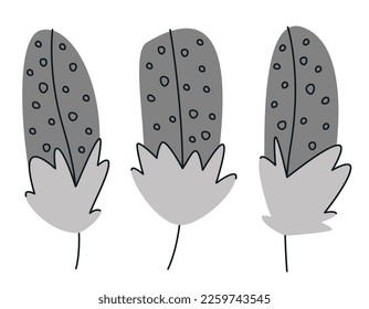 Set of guinea fowl feathers in doodle style. Beautiful design elements.