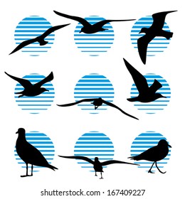 Set of Gull Silhouette icon, vector