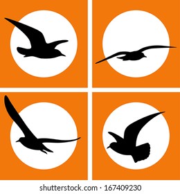 Set of Gull Silhouette icon, vector