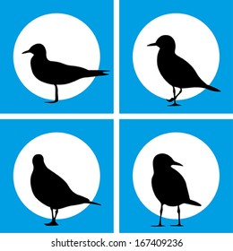 Set of Gull Silhouette icon, vector