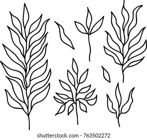 Set of had drawn vector leaves and branches. EPS 10.