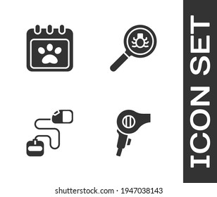 Set Hair dryer, Calendar grooming, Retractable cord leash and Flea search icon. Vector