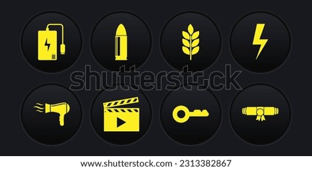 Set Hair dryer, Lightning bolt, Movie clapper, Key, Wheat and Bullet icon. Vector