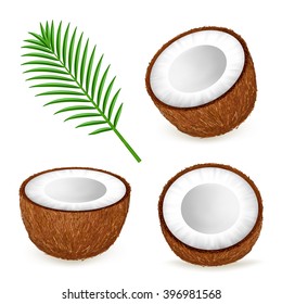 Set halfs of coconut and palm leaves isolated on white background. Realistic vector illustration.