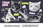 A set of halftone cat stickers with text and paw graphics. Trendy halftone collages, clippings. Ideal for stickers and digital art