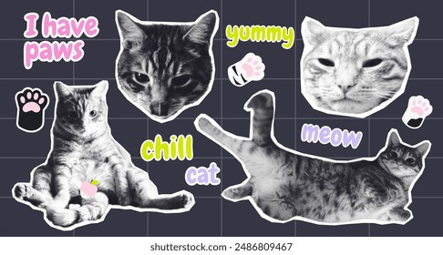 A set of halftone cat stickers with text and paw graphics. Trendy halftone collages, clippings. Ideal for stickers and digital art