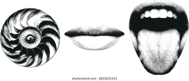 Set of halftone nautilus shell spiral pattern and open mouth icons. Retro grain texture design elements for creative use.