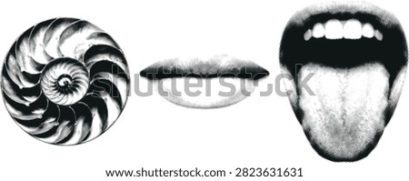 Set of halftone nautilus shell spiral pattern and open mouth icons. Retro grain texture design elements for creative use.